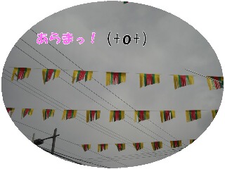 %E7%94%BB%E5%83%8F%20009.jpg
