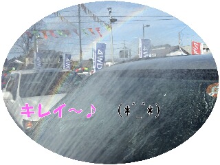 %E7%94%BB%E5%83%8F%20124.jpg
