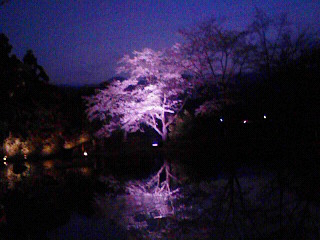 200904121845000.jpg