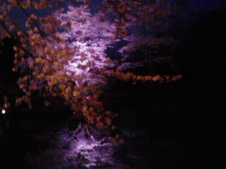 200904121848000.jpg