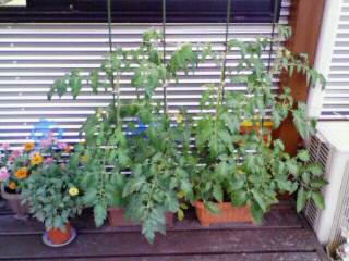 200906151854000.jpg
