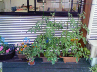 200906241825000.jpg