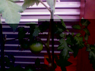 200906241825001.jpg