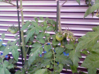 200906241826000.jpg