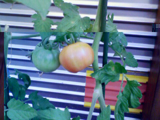 200907051810000.jpg