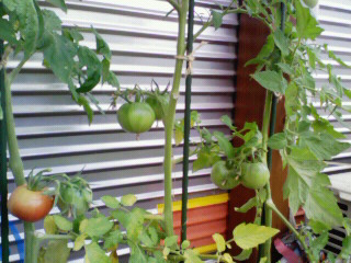 200907091248001.jpg