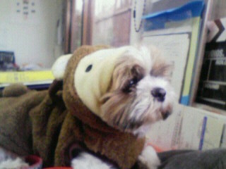 200911161509000.jpg