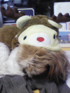 200911161850000.jpg
