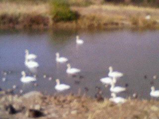 200912081039000.jpg