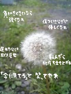 605_p.jpg