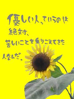 615_p.jpg