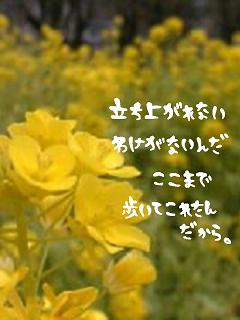 617_p.jpg