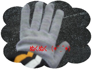 CIMG1358.JPG