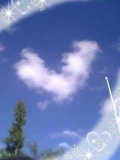 img20070330_3_p.jpg