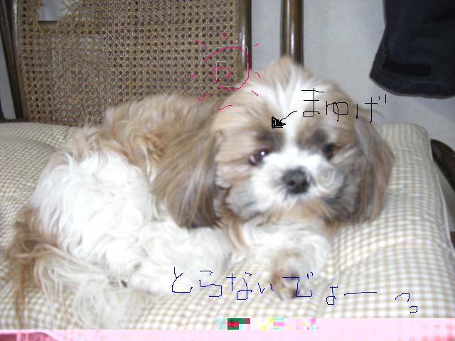 yumicyan%20002.jpg